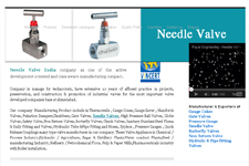 Needle Valve India