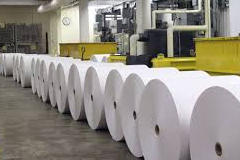 Paper Industries, Web promotion